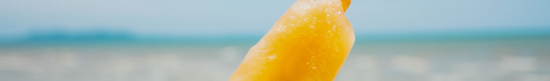 inbanner.jpg